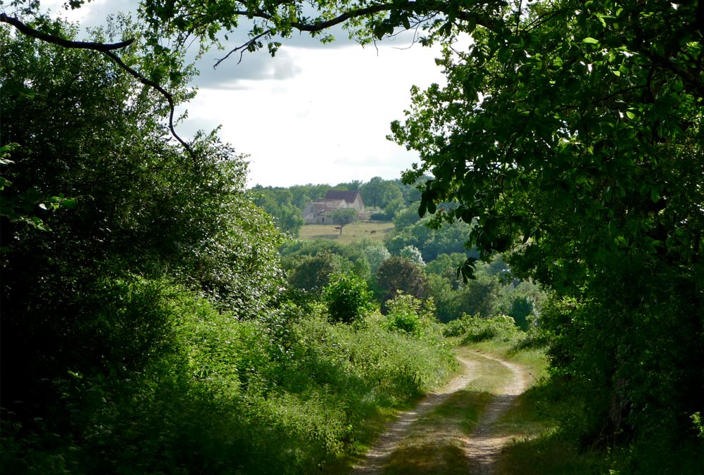 Chemin entre Antigny et Jouhet