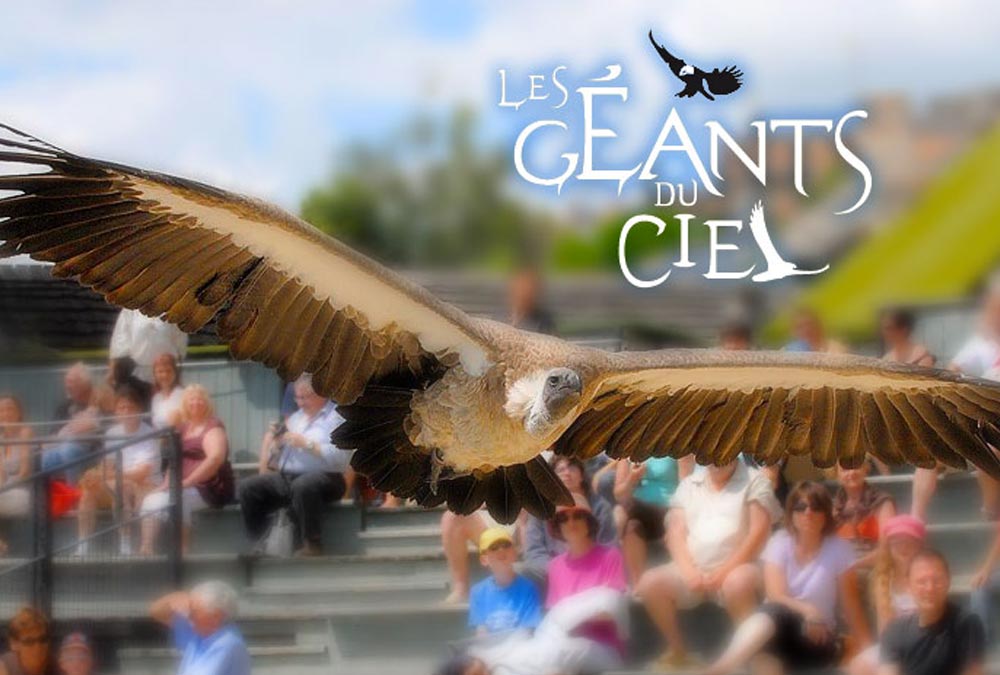 Les géants du Ciel