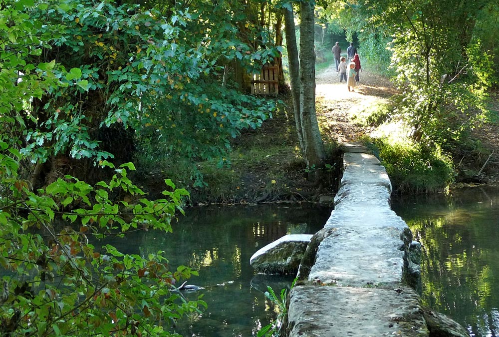 Passage sur le Salleron à Thenet, Haims